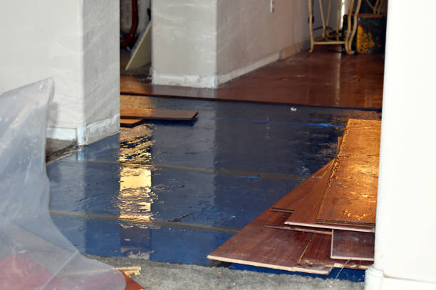 Professional Flood Damage Repair technician working in Helen, GA
